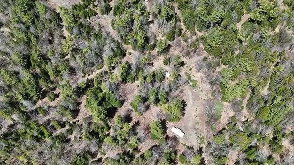 Lot 26-1 Old County Road West Paris ME 04289