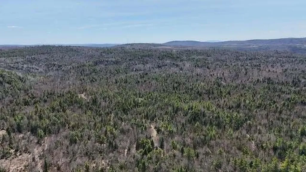 Lot 26-1 Old County Road West Paris ME 04289