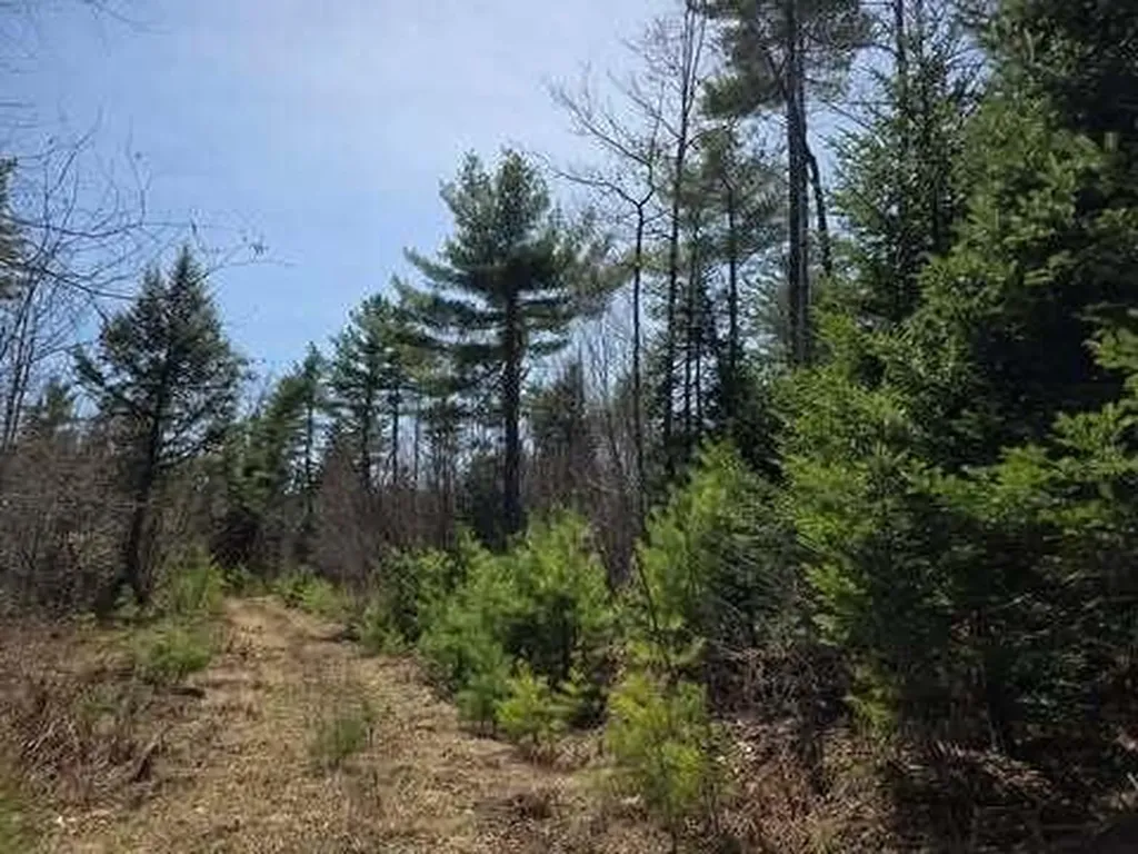 Lot 26-1 Old County Road West Paris ME 04289