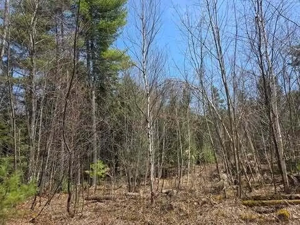 Lot 26-1 Old County Road West Paris ME 04289