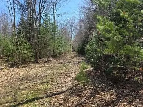 Lot 26-1 Old County Road West Paris ME 04289