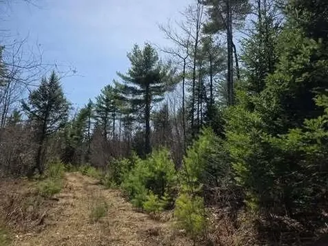 Lot 26-1 Old County Road West Paris ME 04289