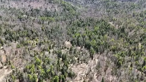 Lot 26-1 Old County Road West Paris ME 04289