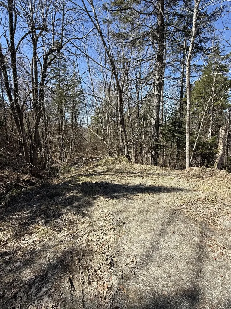 Lot 016-01 142 Old Fisher Road Holden ME 04429