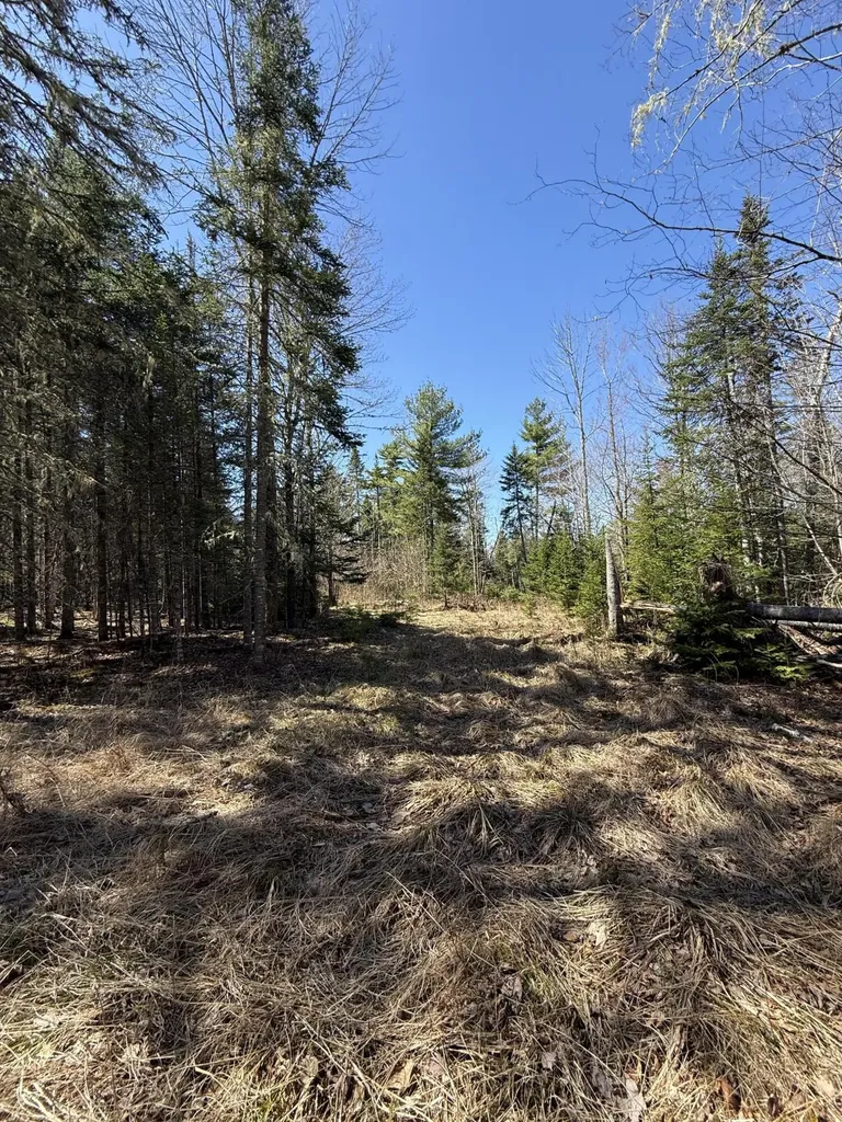 Lot 016-01 142 Old Fisher Road Holden ME 04429
