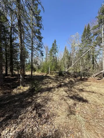 Lot 016-01 142 Old Fisher Road Holden ME 04429