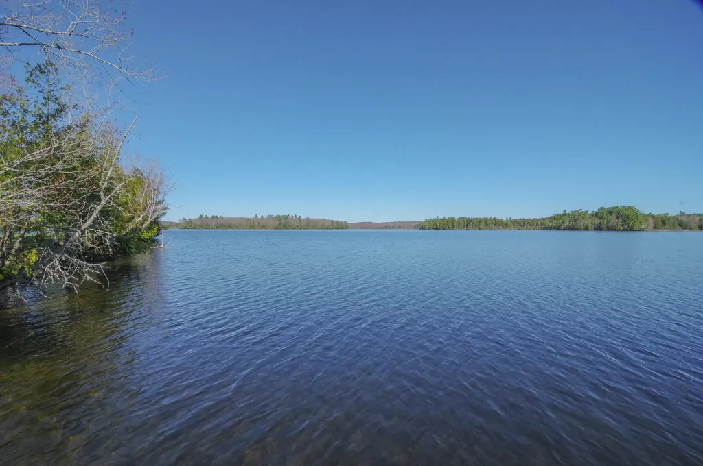 40 Birch Way Stetson ME 04488