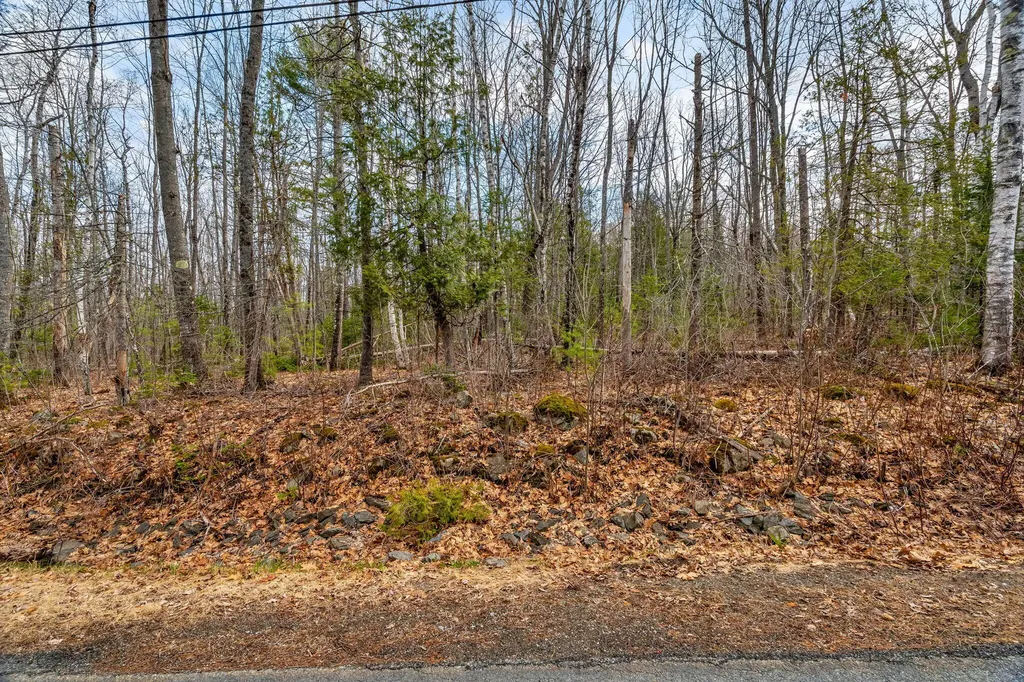 Lot 48 Manning Mill Road Hampden ME 04444