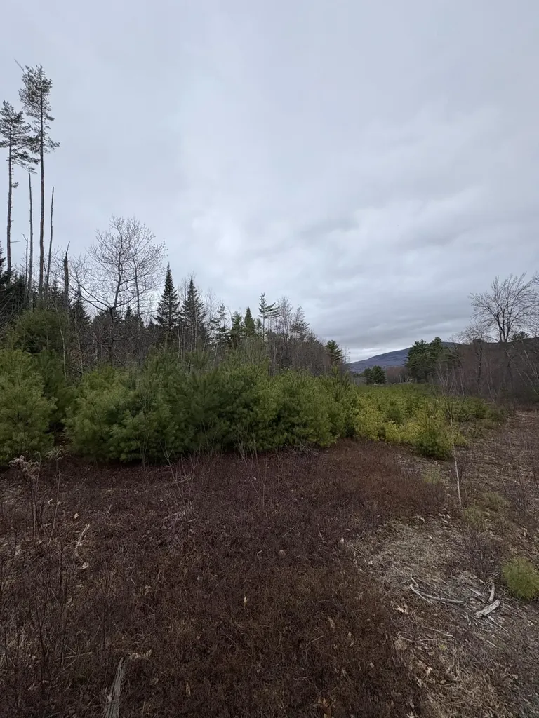 Lot 1 Fleming Road Bethel ME 04217