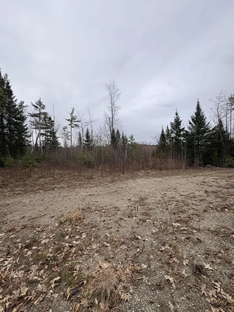 Lot 1 Fleming Road Bethel ME 04217