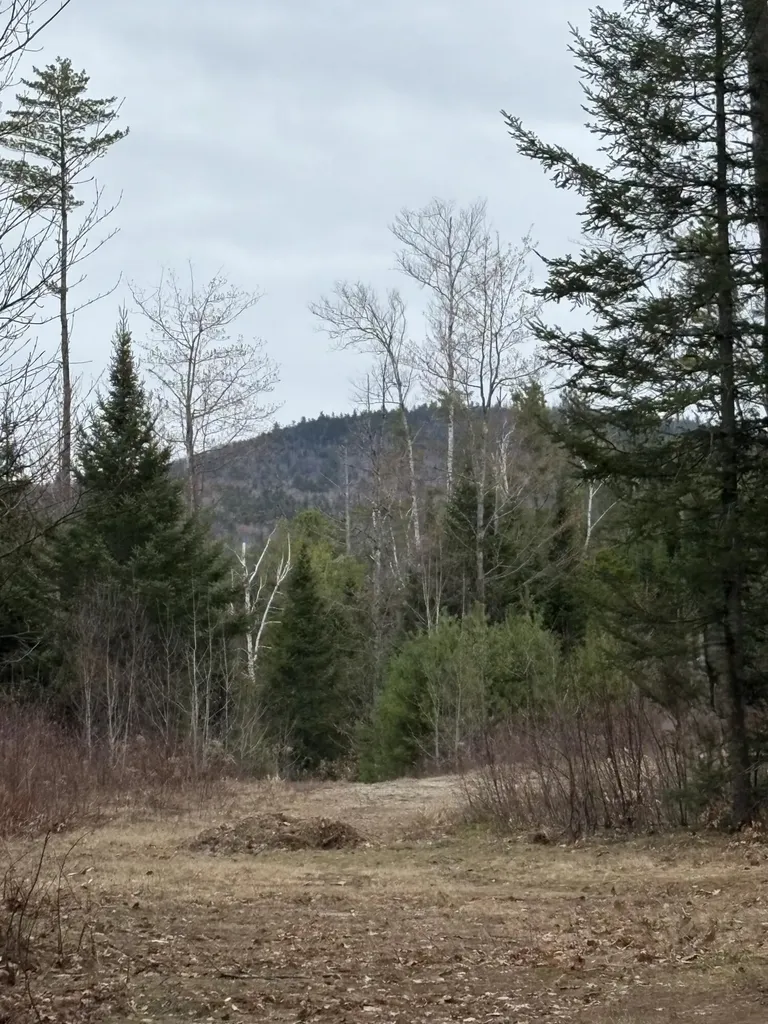 Lot 1 Fleming Road Bethel ME 04217