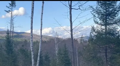 Lot 1 Fleming Road Bethel ME 04217