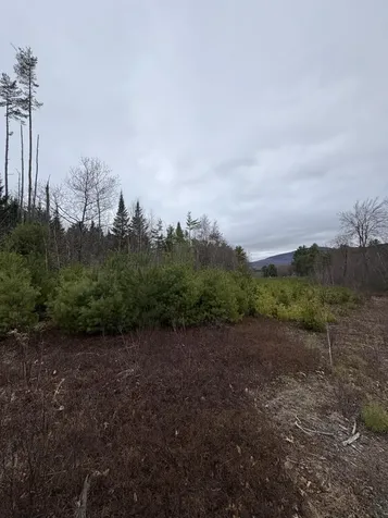 Lot 1 Fleming Road Bethel ME 04217
