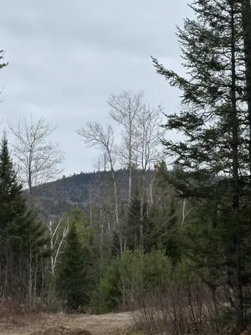 Lot 1 Fleming Road Bethel ME 04217