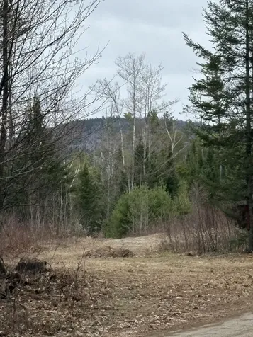 Lot 1 Fleming Road Bethel ME 04217