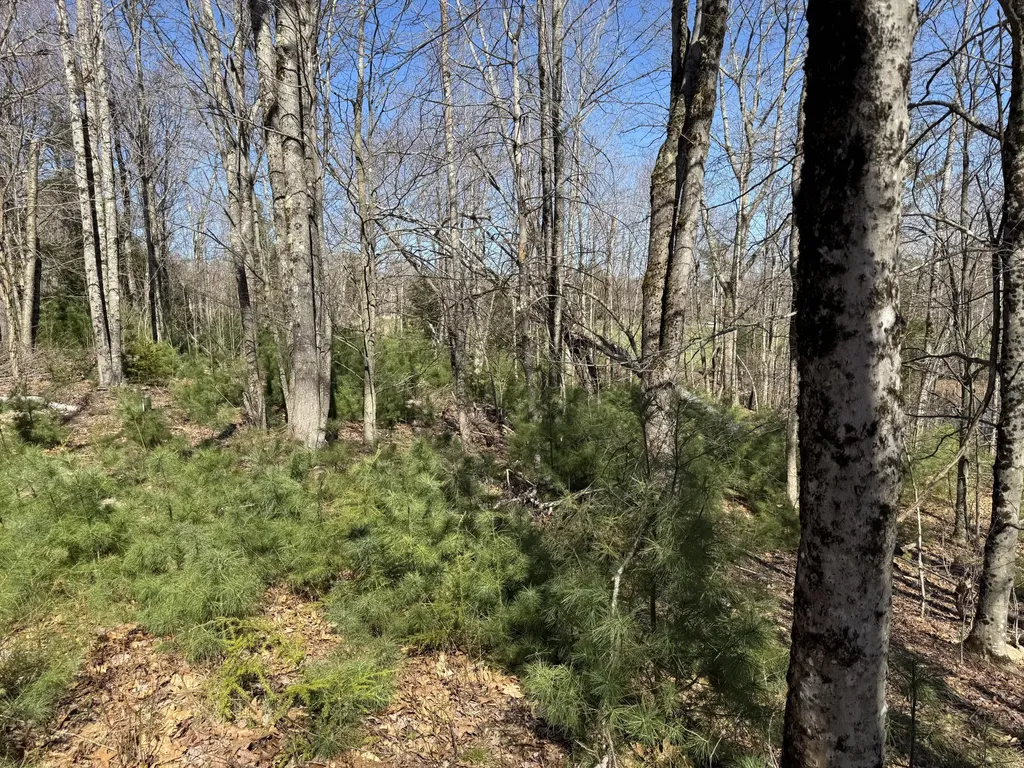 330 Old County Road Washington ME 04574