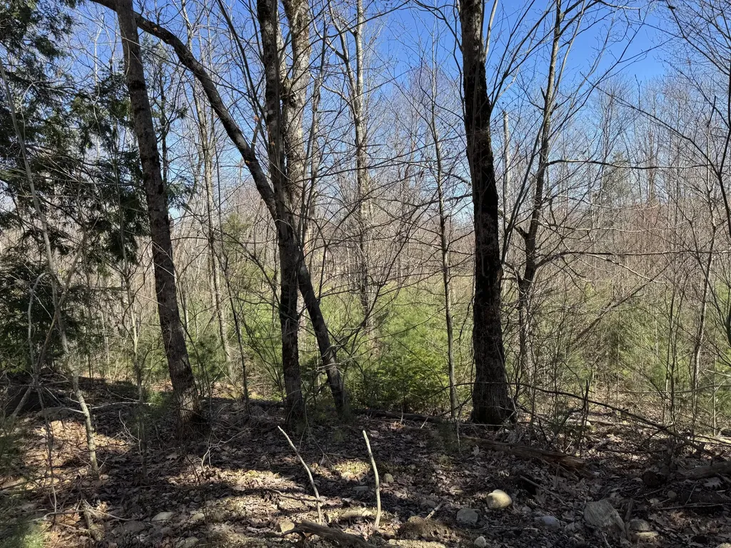 330 Old County Road Washington ME 04574