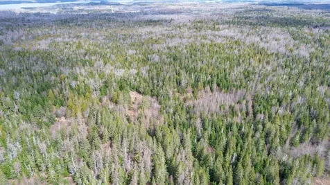 M Wa 032 Plan 01 L 101.1, 101.6, 101.7 Trescott Twp ME 04652