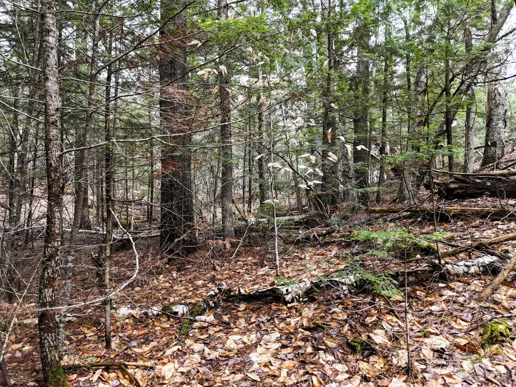 55 Salmon Road Madison ME 04950
