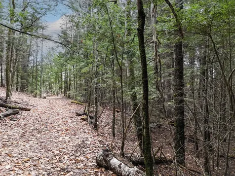 55 Salmon Road Madison ME 04950