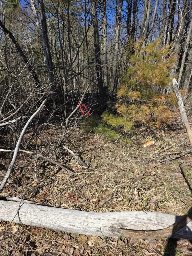 0 Airline Road Clifton ME 04428