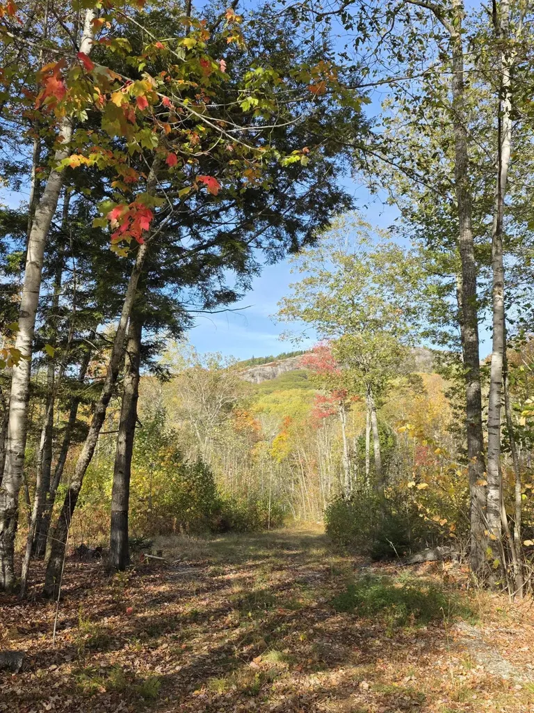 0 Airline Road Clifton ME 04428