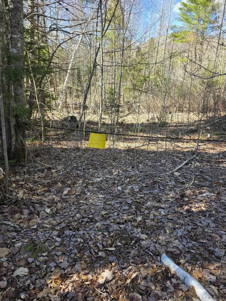 0 Airline Road Clifton ME 04428
