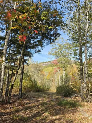 0 Airline Road Clifton ME 04428