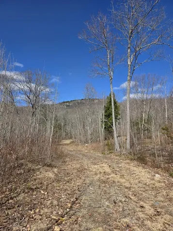 0 Airline Road Clifton ME 04428