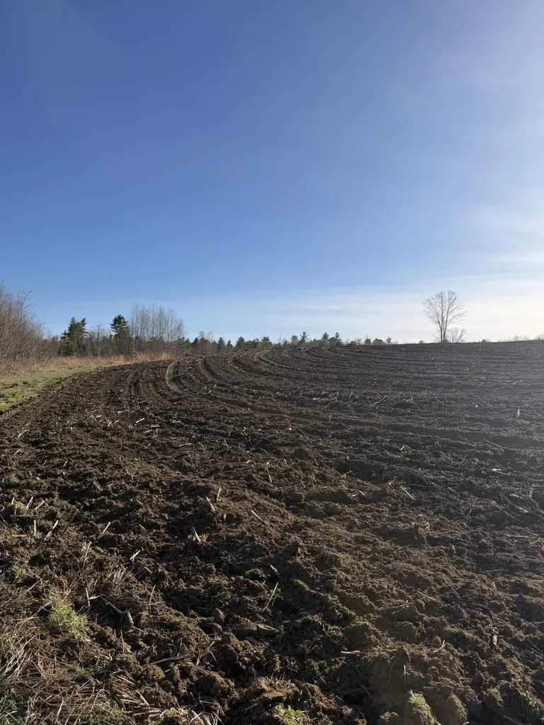 Lot 2 Torrey Road Poland ME 04274