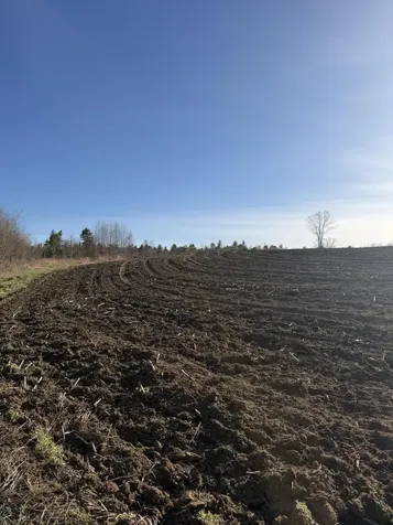 Lot 2 Torrey Road Poland ME 04274