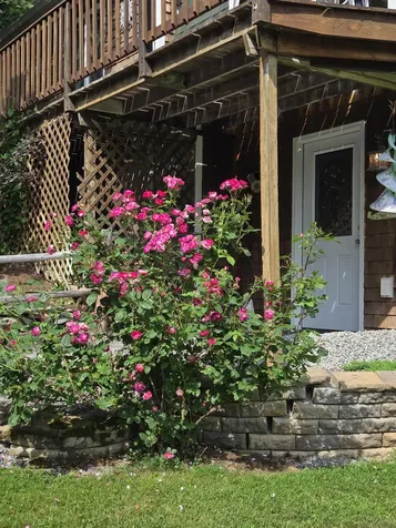 139 Five Road Carmel ME 04419