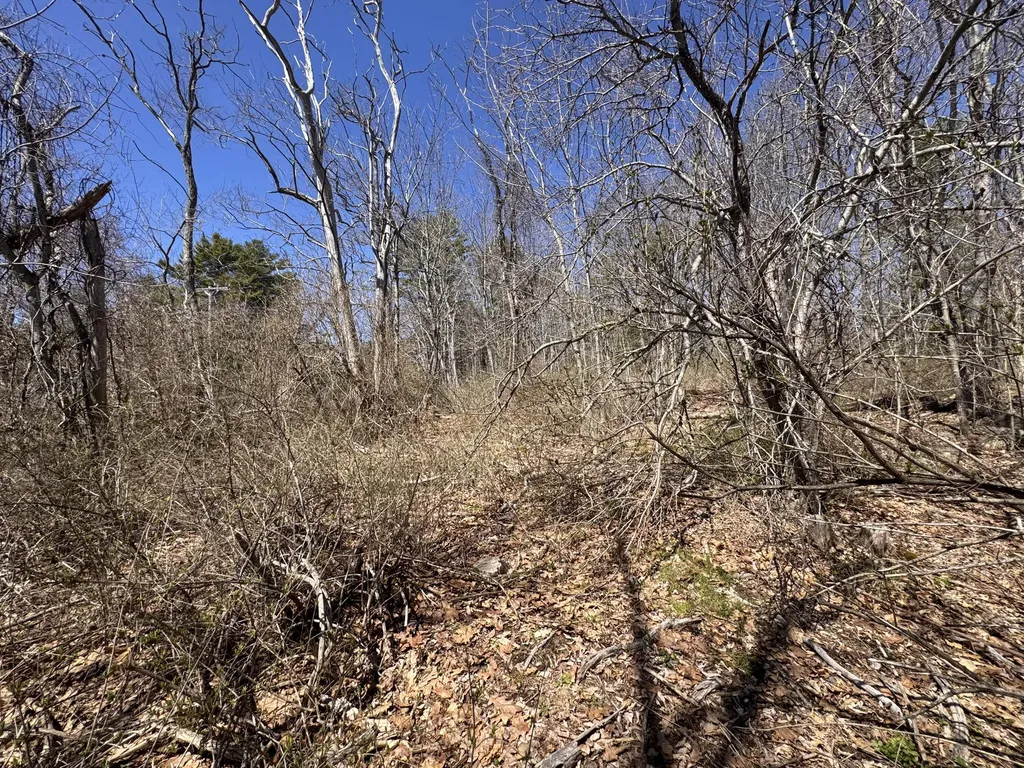 Lot 31 Parker Point Road Blue Hill ME 04614