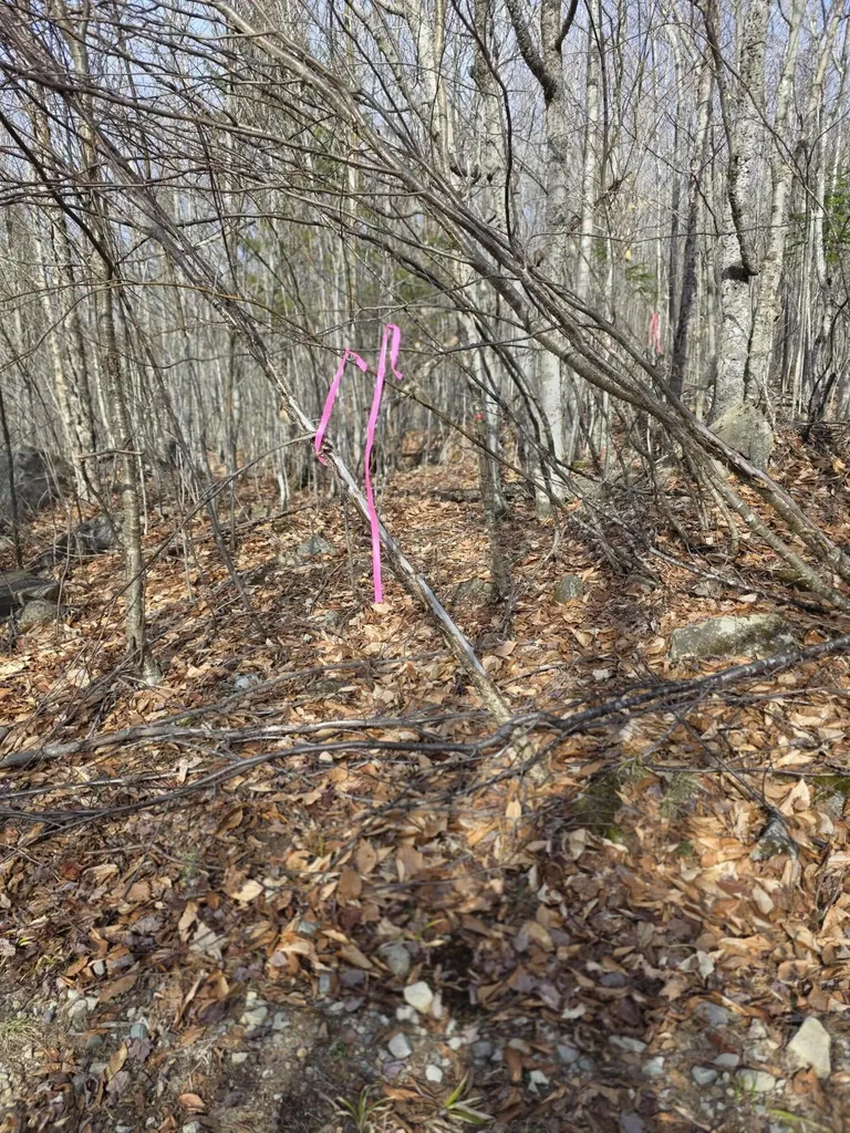 L 10 Moose Ridge Road Oakfield ME 04763