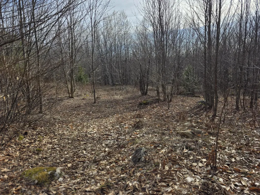 L 10 Moose Ridge Road Oakfield ME 04763