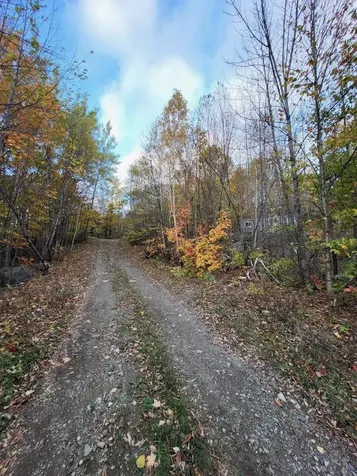 L 10 Moose Ridge Road Oakfield ME 04763