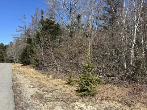 M24 L9b-10 Merganser Drive Gouldsboro ME 04607