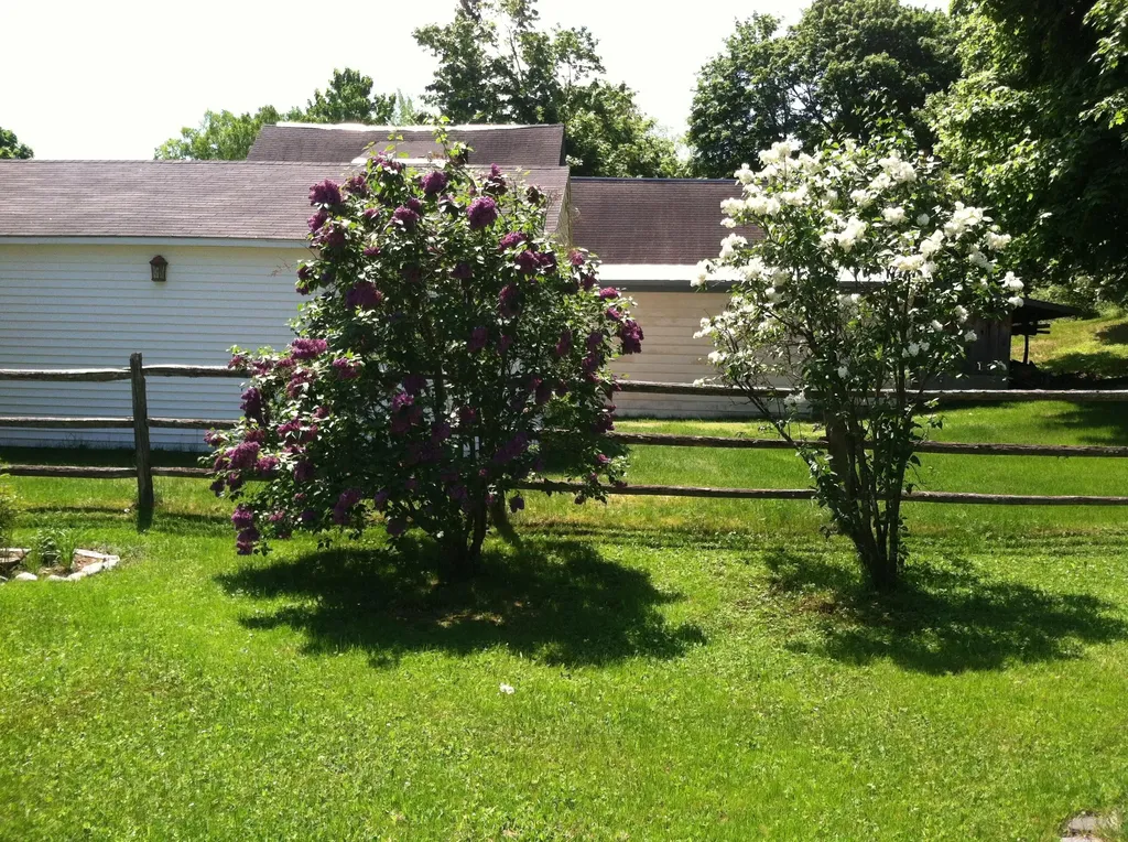 346 Penobscot Avenue Millinocket ME 04462