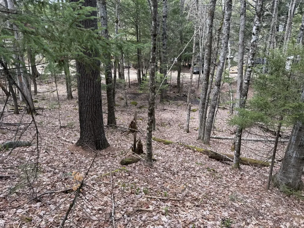 3 Webb River Acres Carthage ME 04224
