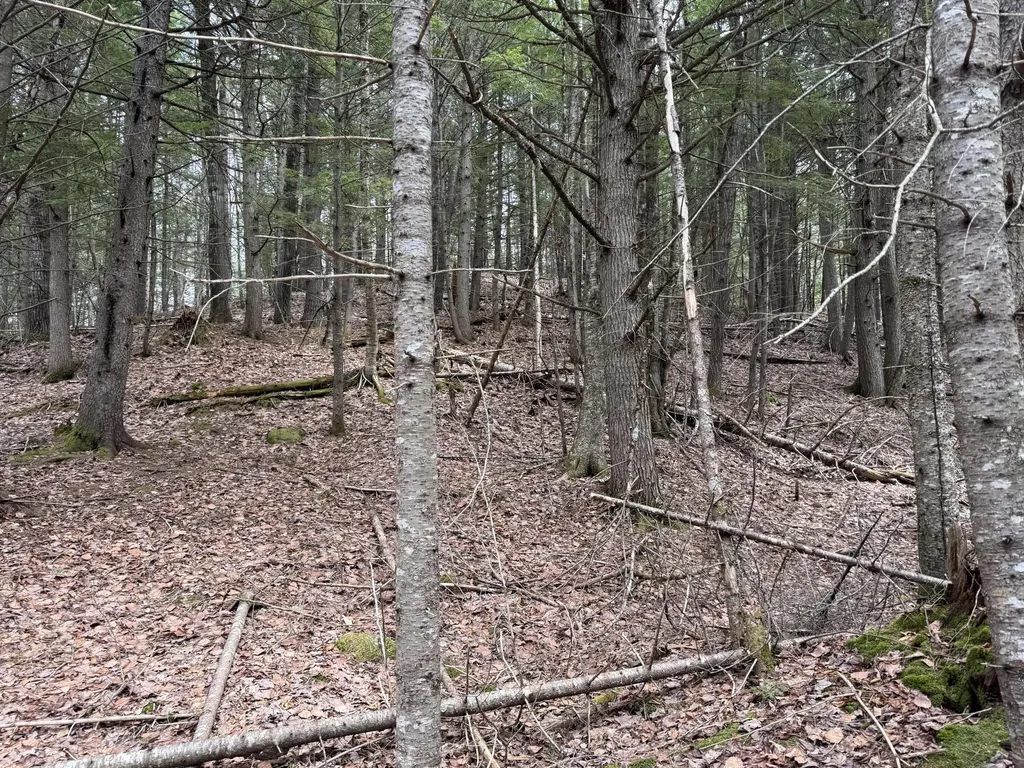 3 Webb River Acres Carthage ME 04224