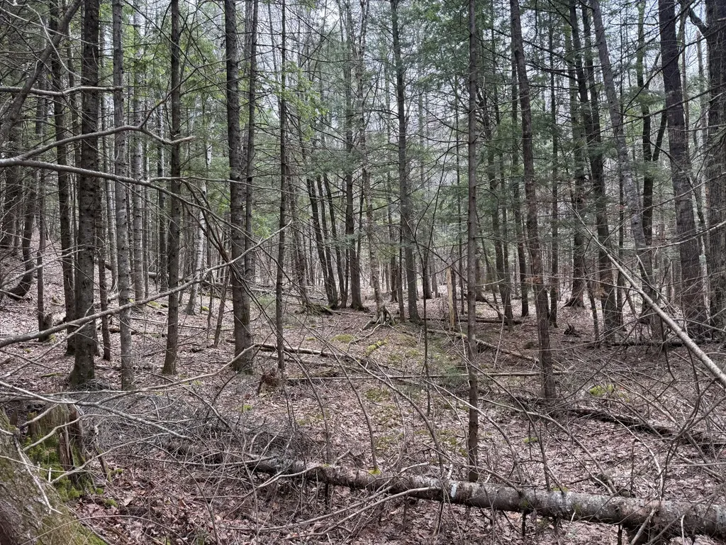 3 Webb River Acres Carthage ME 04224