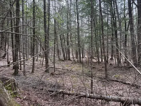 3 Webb River Acres Carthage ME 04224