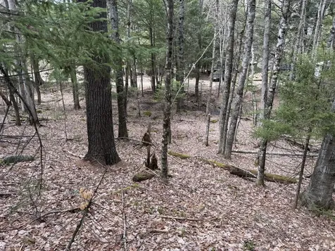 3 Webb River Acres Carthage ME 04224