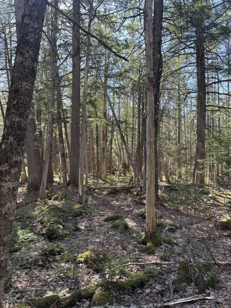 86 Mccrillis Brook Road Bethel ME 04219