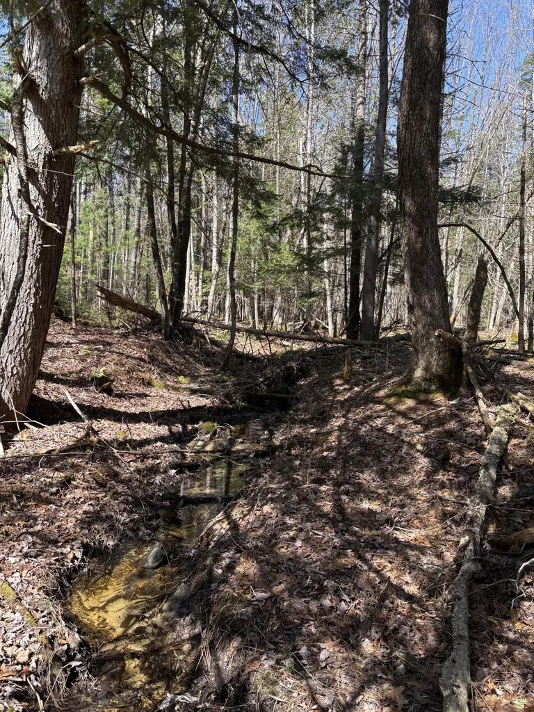 86 Mccrillis Brook Road Bethel ME 04219