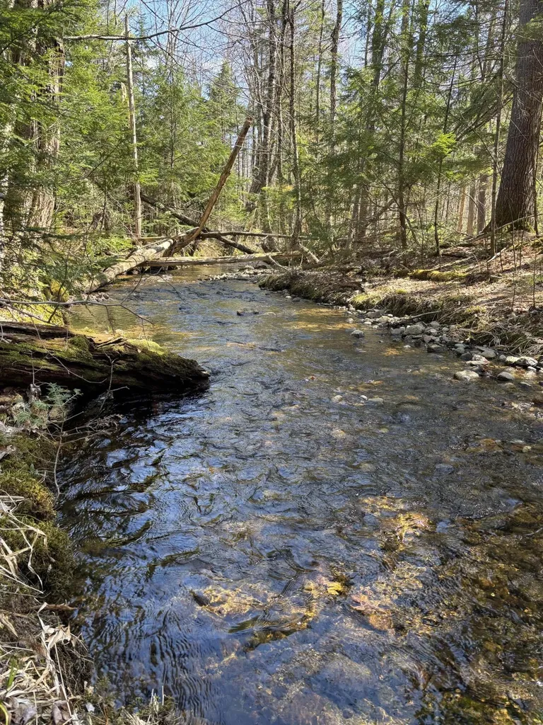 86 Mccrillis Brook Road Bethel ME 04219