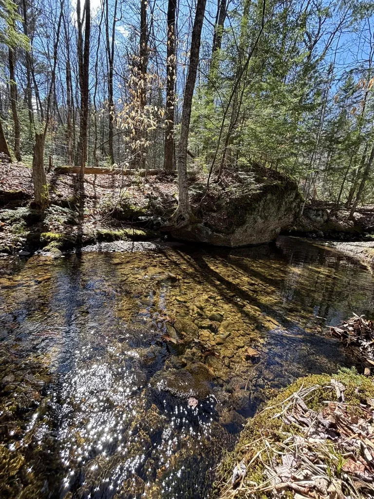 86 Mccrillis Brook Road Bethel ME 04219
