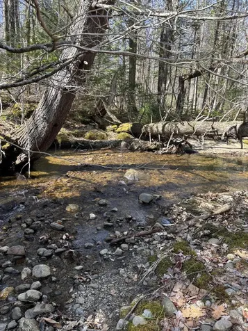 86 Mccrillis Brook Road Bethel ME 04219