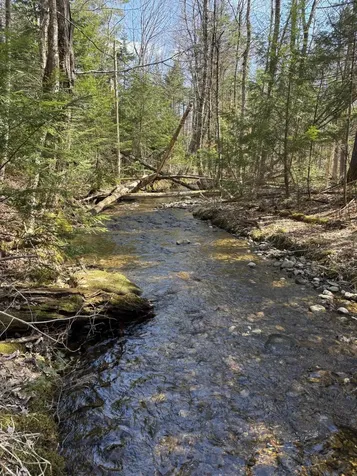 86 Mccrillis Brook Road Bethel ME 04219