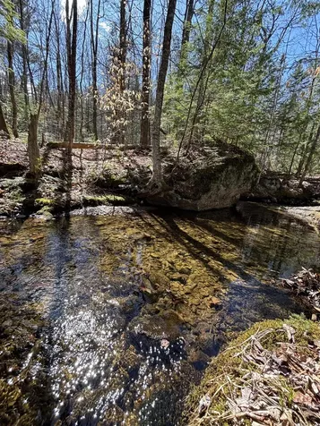 86 Mccrillis Brook Road Bethel ME 04219